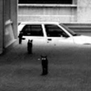 Meet your Posher, Felipe